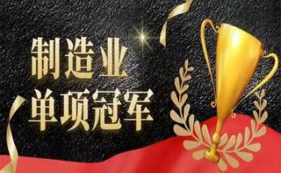 精川智能獲評湖北省制造業(yè)單項(xiàng)冠軍企業(yè)